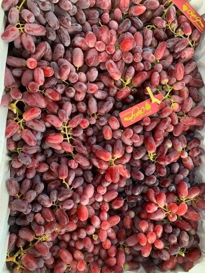 F5 Fruit Shop