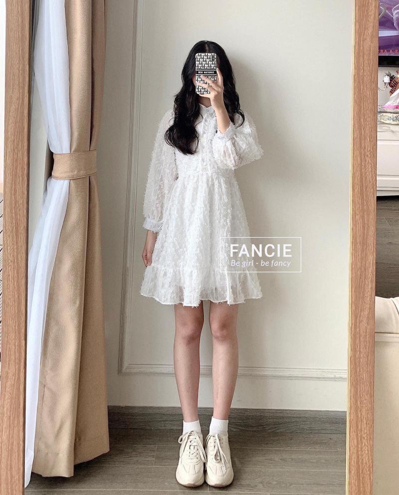 Fancie