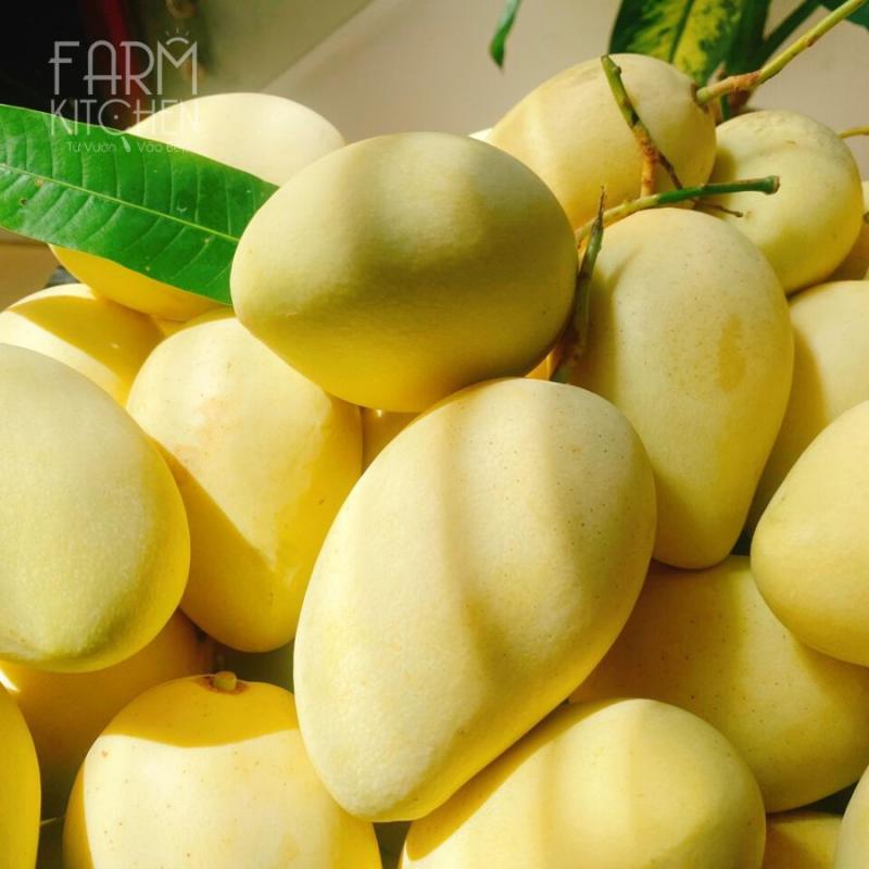 ﻿﻿Farm Kitchen - Từ Vườn Vào Bếp