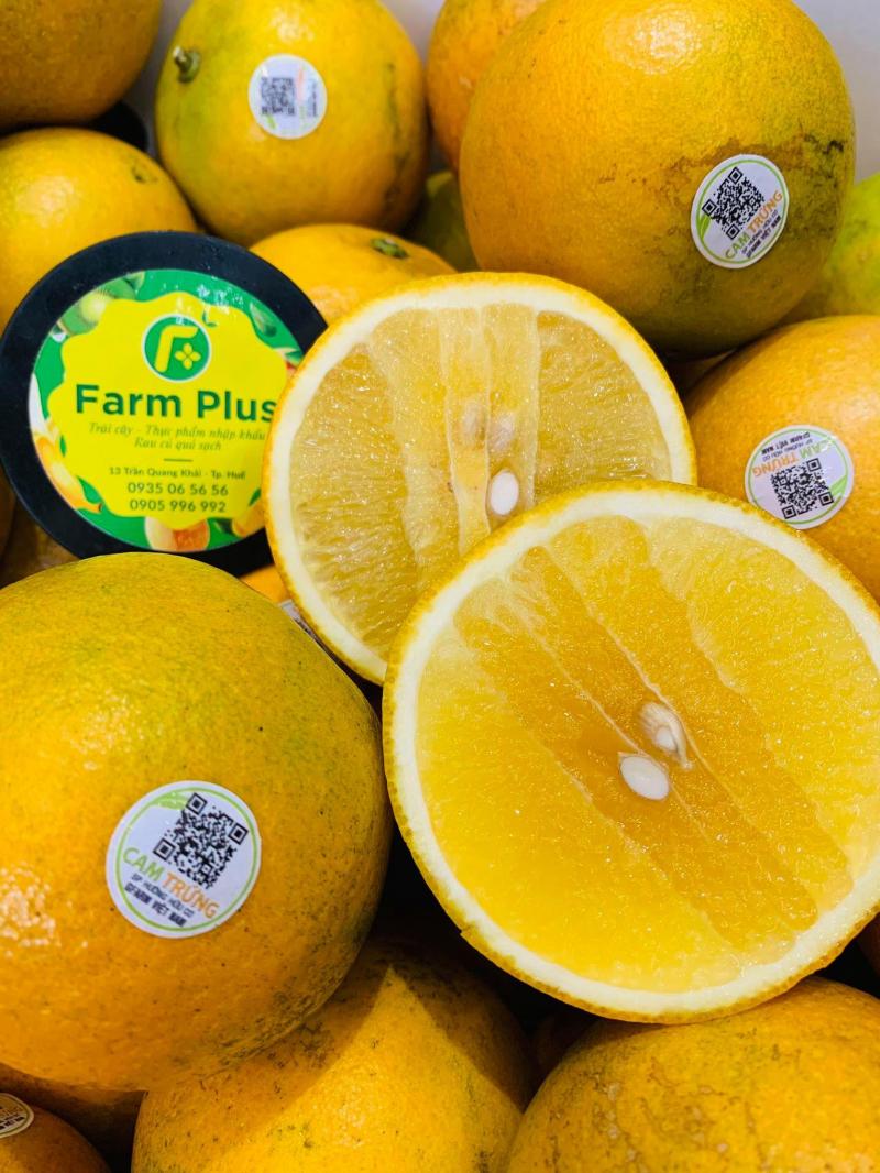 Farm Plus
