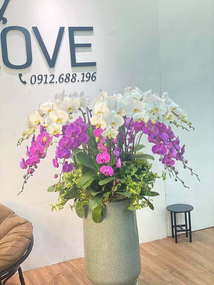 Feeling Love Flowers