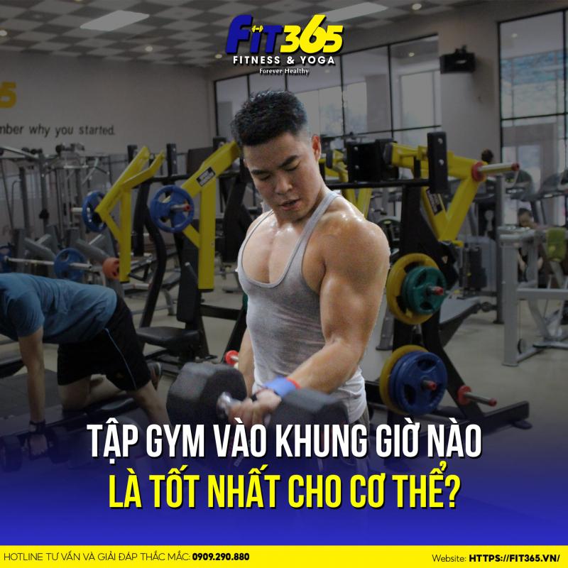 Fit365 Gym & Yoga