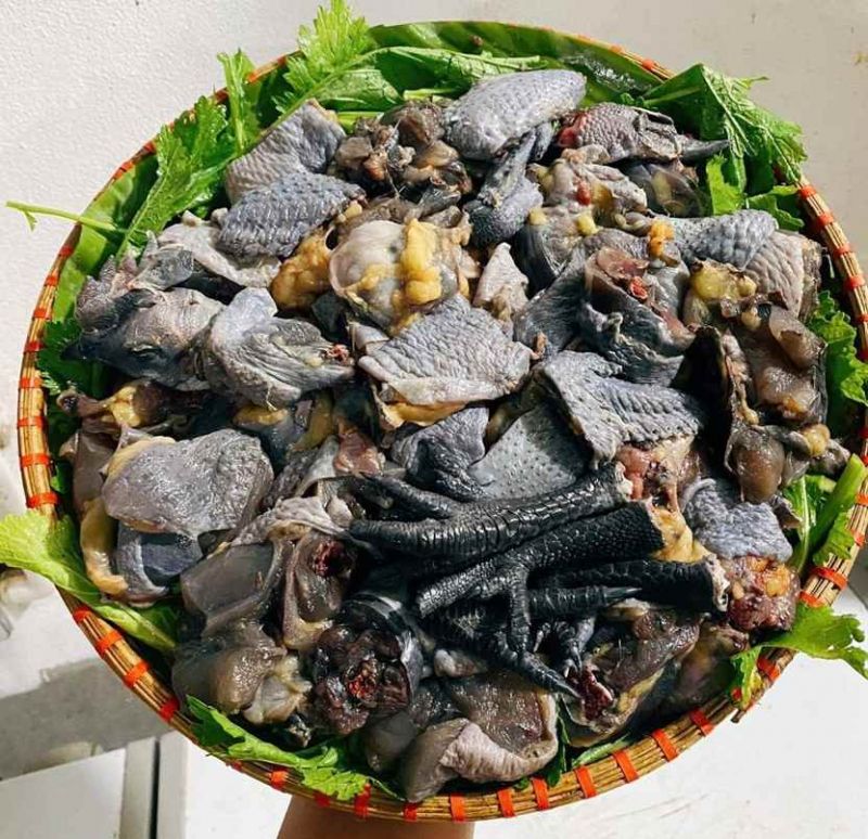 Gà đen Tủa Chùa