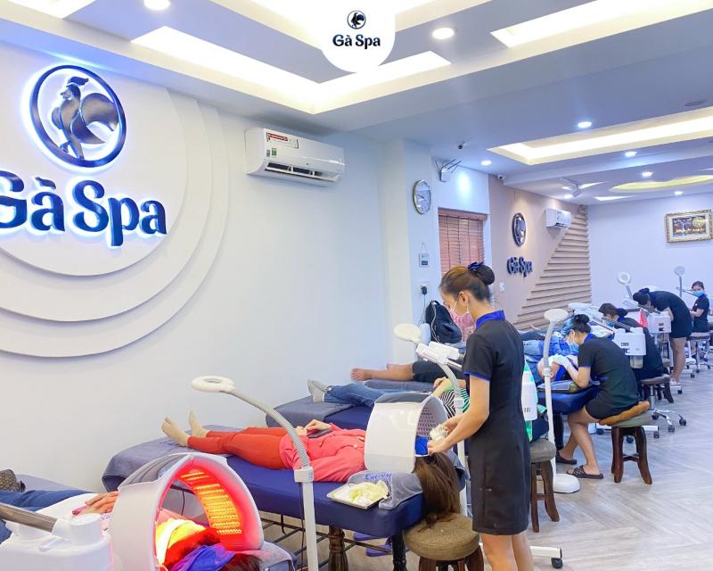 Gà Spa Bình Định
