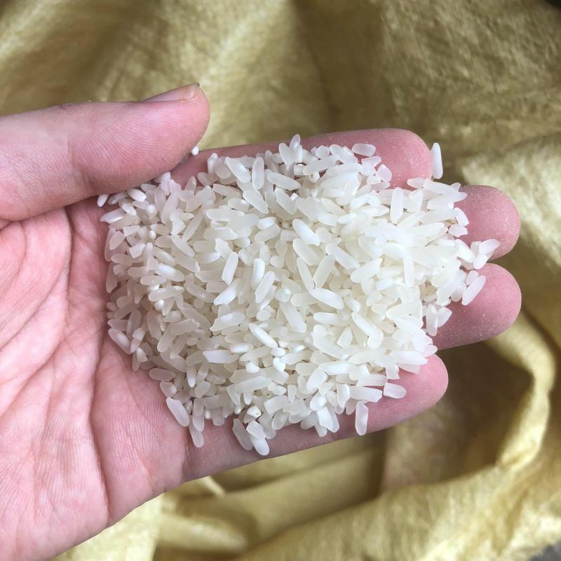 Gạo Đặc Sản Séng Cù Quân Lan