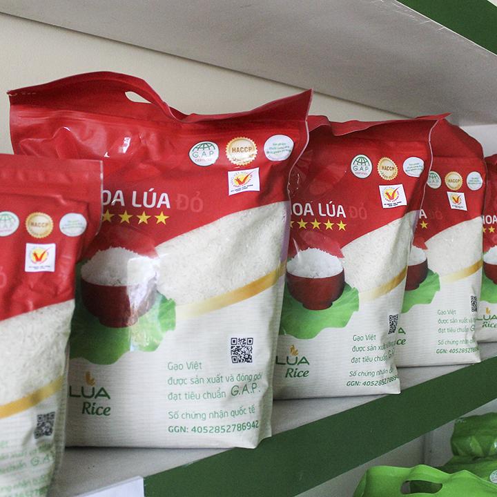 Gạo Hoa Lúa