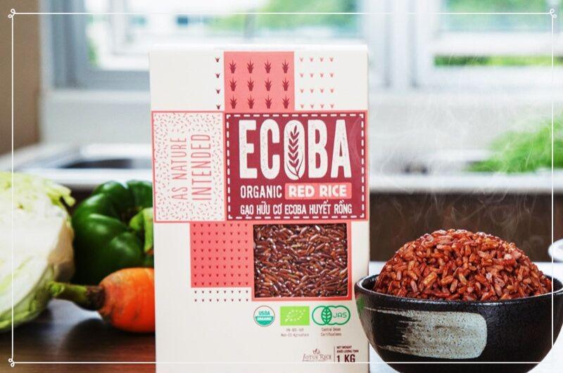 Gạo lứt đỏ hữu cơ Ecoba Huyết Rồng