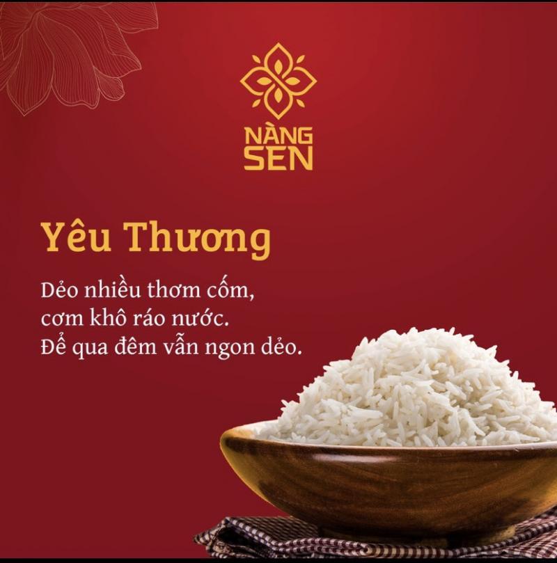 Gạo nàng sen