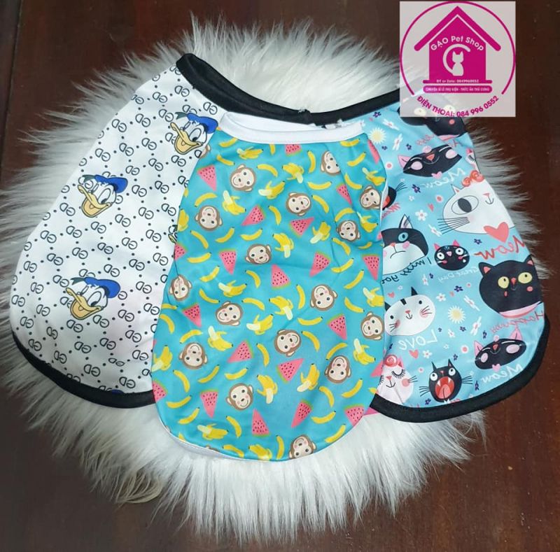 Gạo Pet Shop
