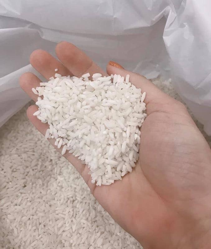 Gạo Séng Cù - Đại Lý Gạo Việt