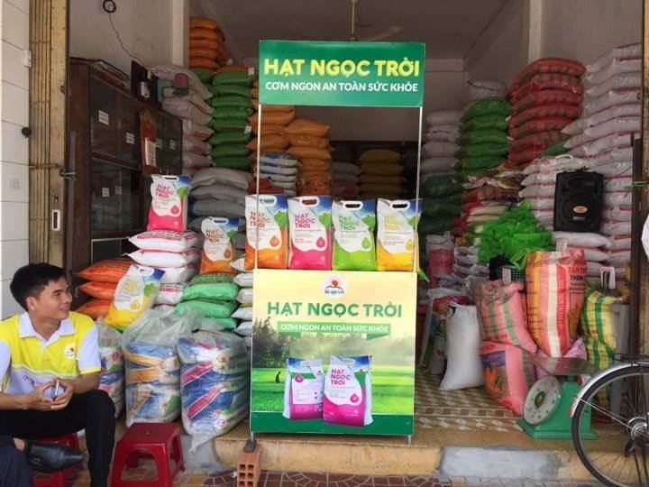 Gạo Thành Tín Quy Nhơn