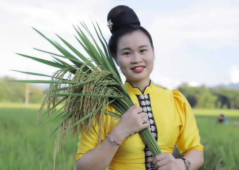 Gạo thơm ManGo - Hương của núi rừng