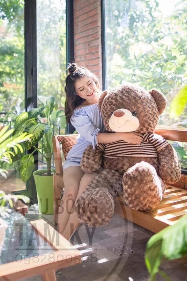 Gấu Bông Tam Kỳ