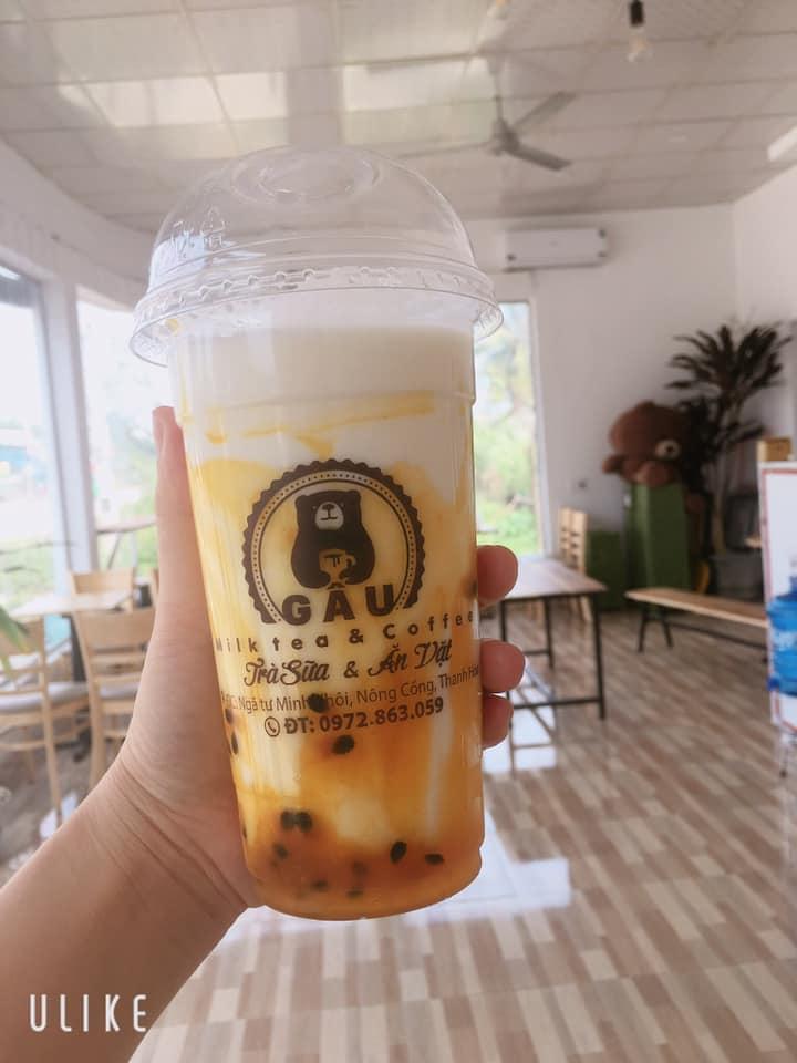 Gấu Milk Tea &Coffee