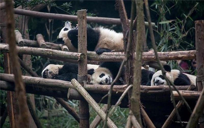 Nằm chút rồi ăn tiếp nha