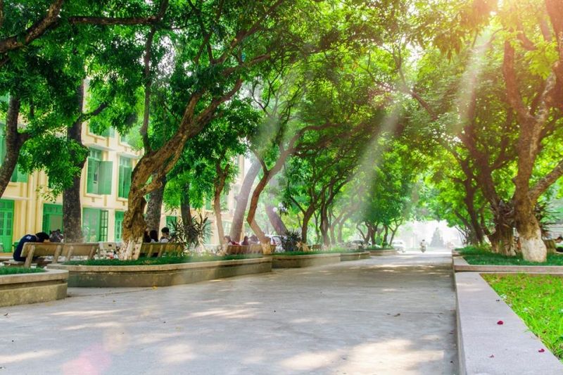 Ghế đá sân thư viện là nơi lãng mạn nhất