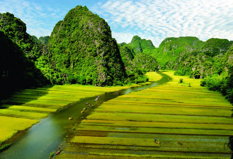 Giấc mơ dịu êm