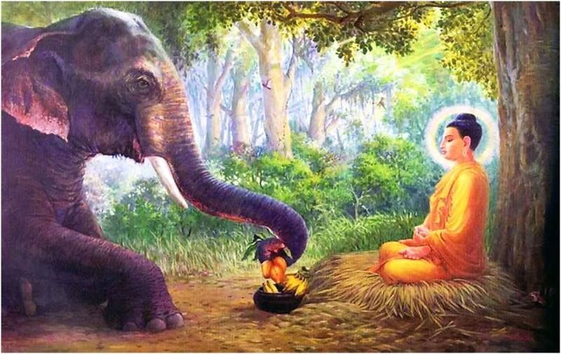 Voi cũng xuất hiện nhiều trong các câu chuyện Phật giáo biểu hiện cho sự may mắn