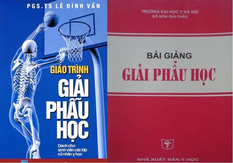 Giáo trình giải phẫu học