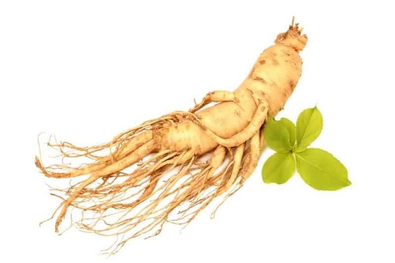 Nhân sâm giúp ngăn ngừa cholesterol xấu trong cơ thể