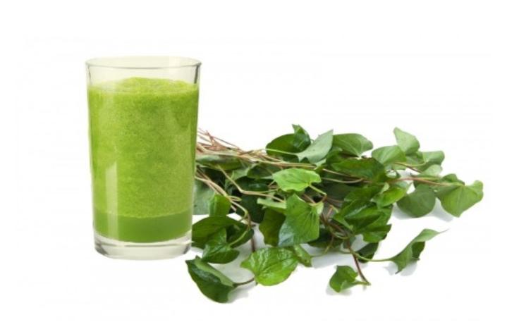 Rau diếp cá giúp giảm ho