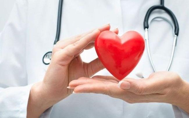 Các bệnh lý tim mạch thường gặp