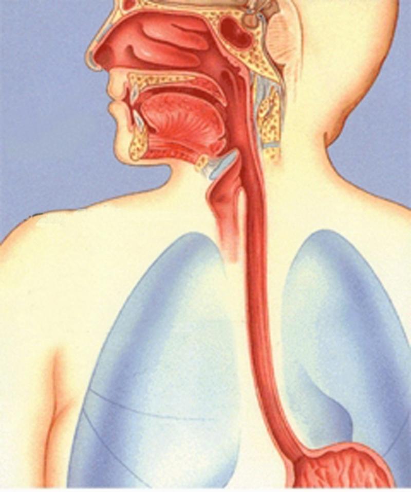 Giảm tĩnh mạch thực quản