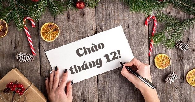 Ảnh minh họa (nguồn internet)