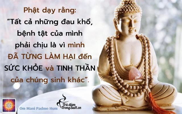 Ăn chay bố thí công đức vô lượng vô biên