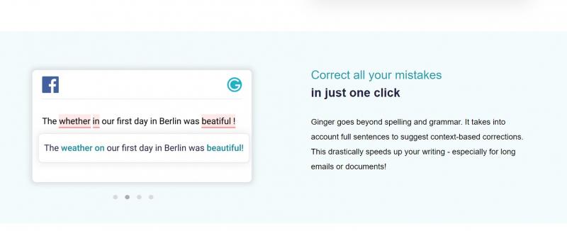 Ginger Software