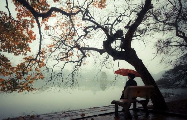 Gió lạnh chiều đông