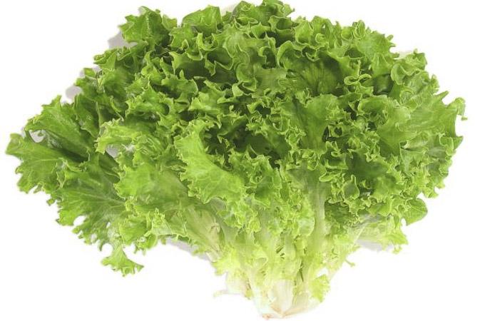 Giữ rau xà lách tươi lâu hơn
