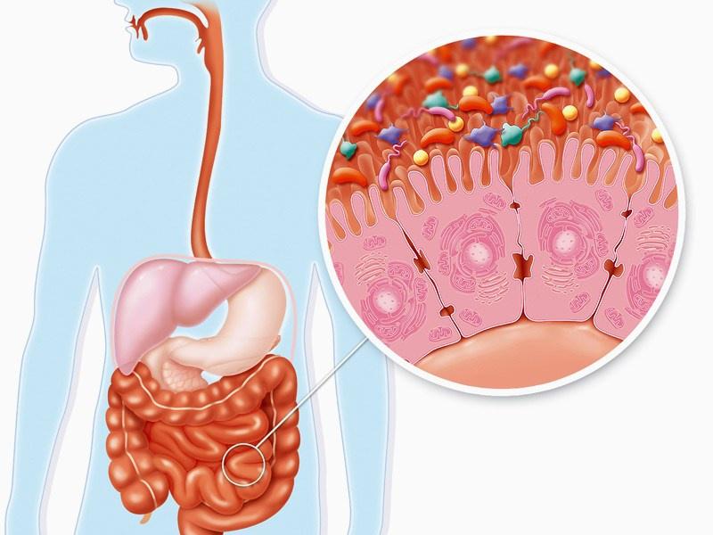 Giúp đường ruột của bạn khỏe mạnh hơn
