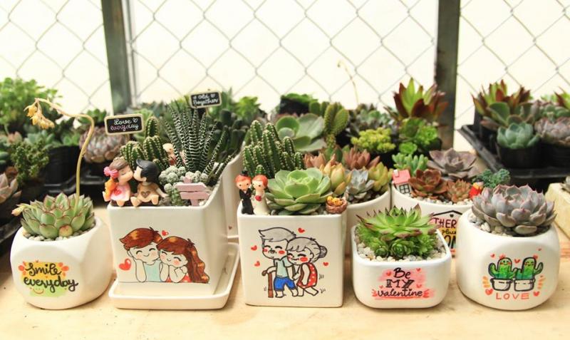 Góc vườn la cà