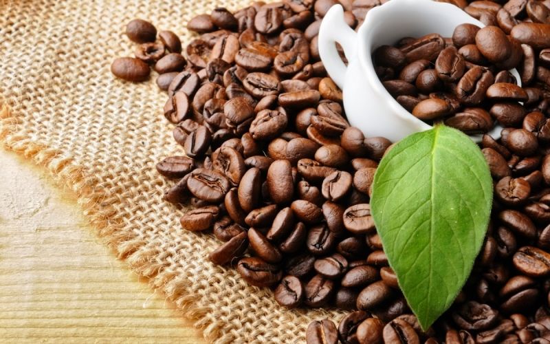 Gội đầu với cà phê