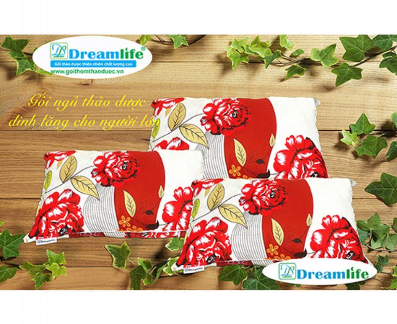 Gối đinh lăng Dreamlife