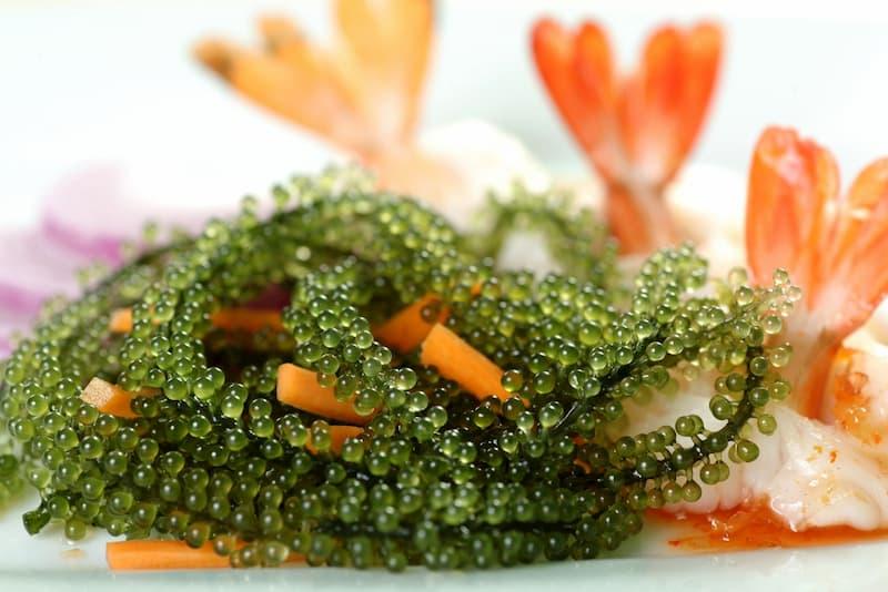 Gỏi rong nho tôm tươi