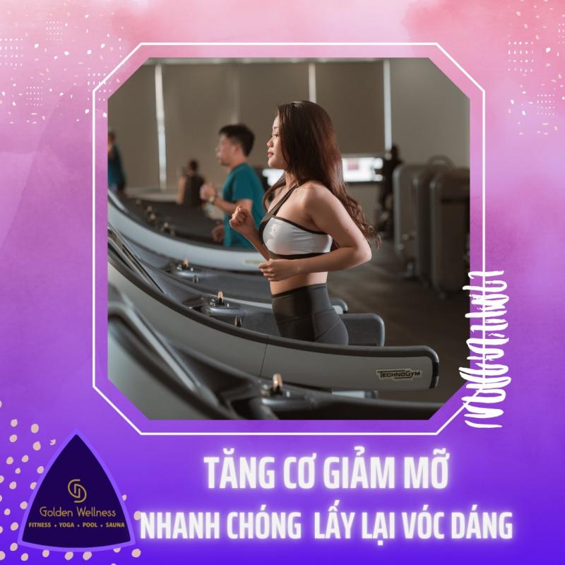 Golden Wellness Fitness