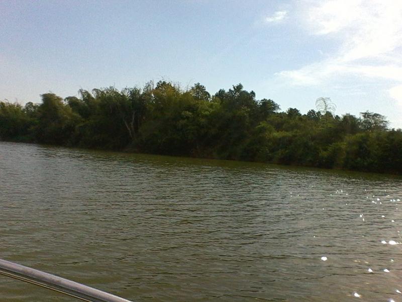 Green Bamboo Lodge .Enjoy Nature
