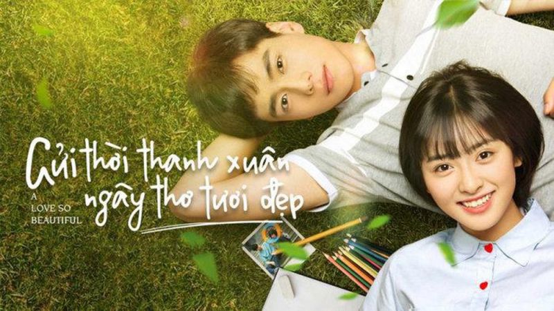 Bộ phim Gửi thanh xuân