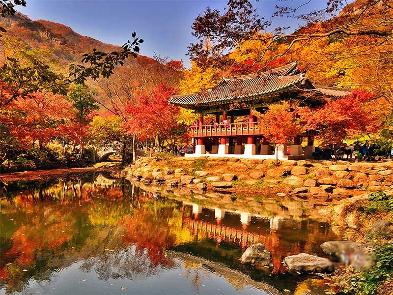 Gyeongbokgung (Cung Cảnh Phúc)