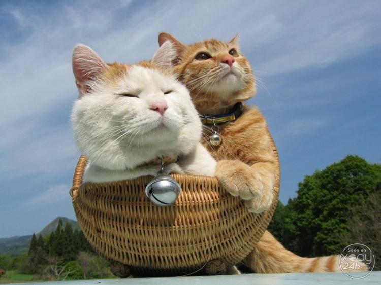 Cùng nhau ngắm vẻ đẹp của thiên nhiên
