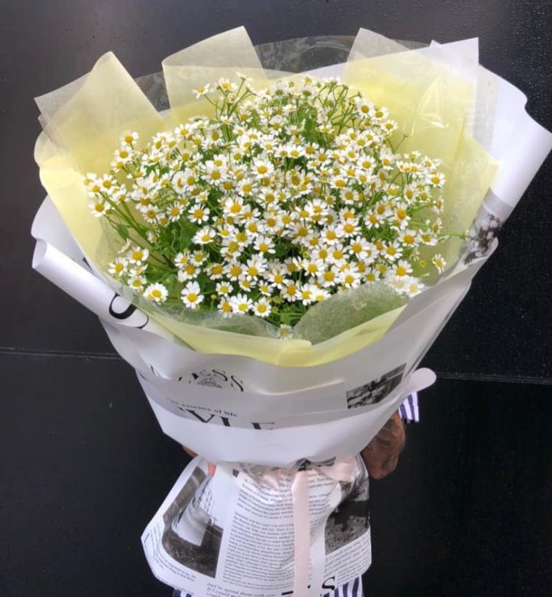 H2 Flower