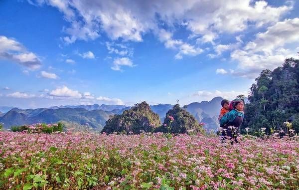 Bạn có giống tôi khi quên lối đi về khi lạc vào rừng hoa