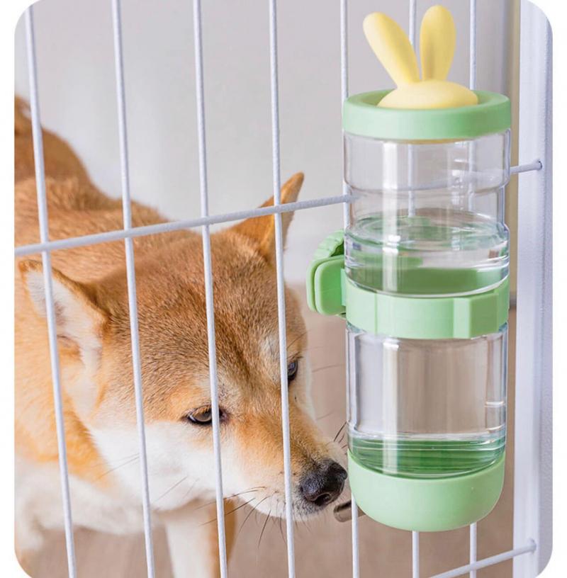 Hachiko Pet Center