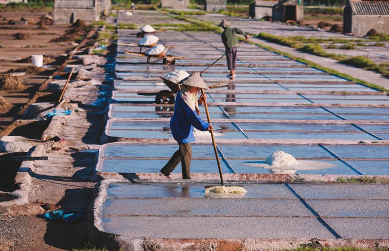 Hải Hậu