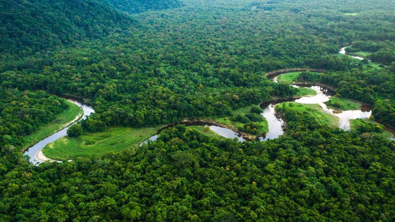Hai phần ba rừng nhiệt đới Amazon nằm ở Brazil