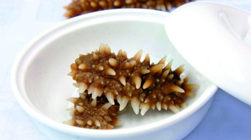 Hải sâm Cô Tô