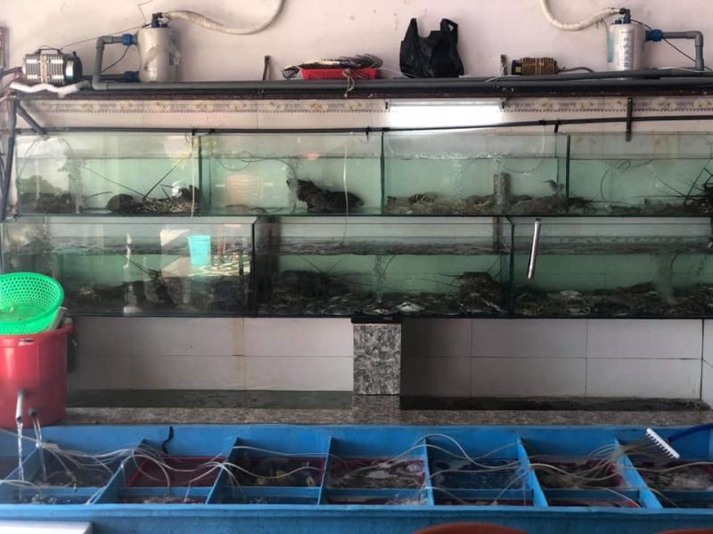 Hải Sản Bé Tân