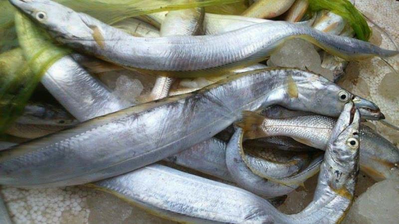 Cá cùi, kho khô rất tốn cơm.